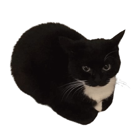 A Spinning Maxwell